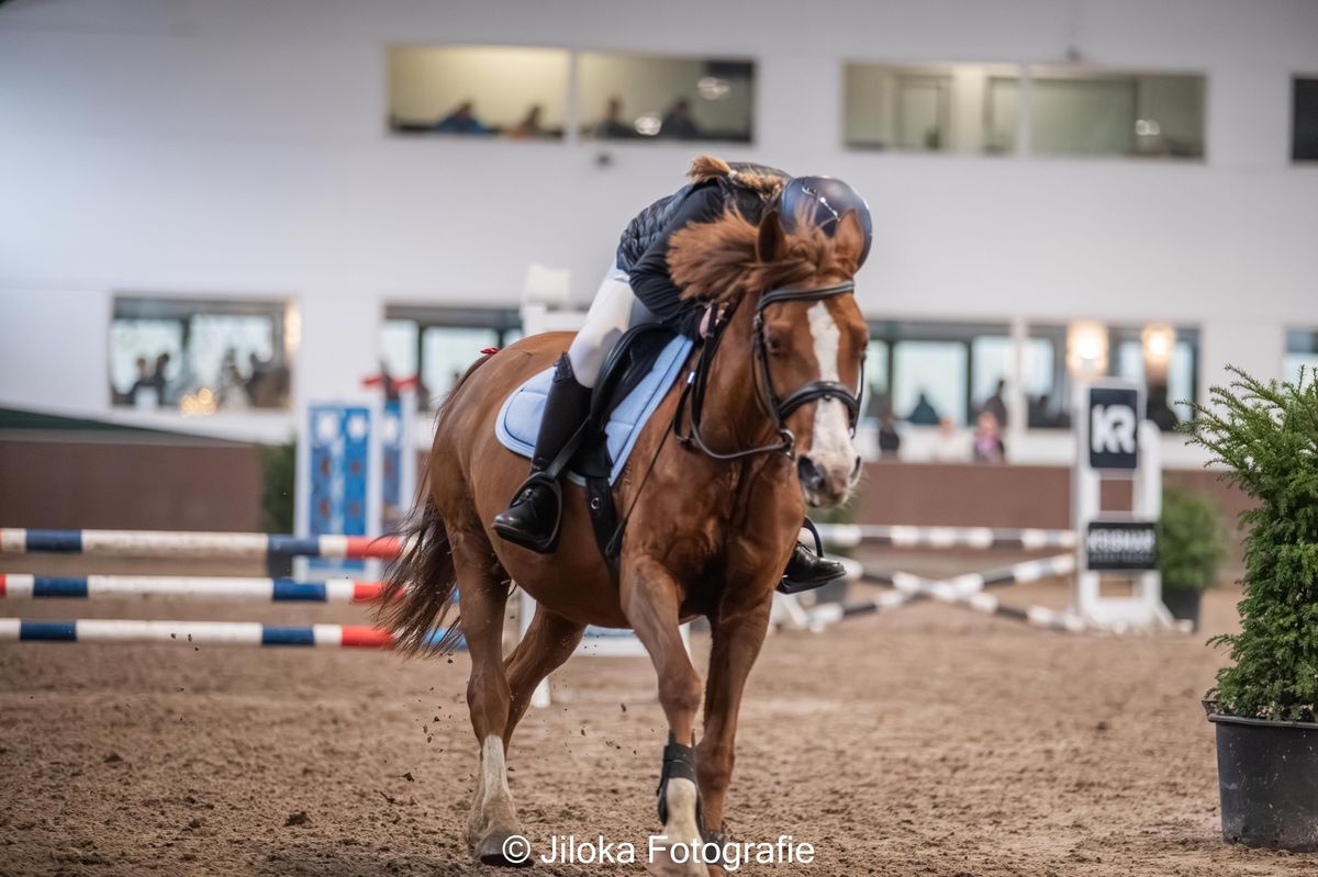 FINALE DENA WINTERWERKING HIGH + LOW - KRISMAR CUP