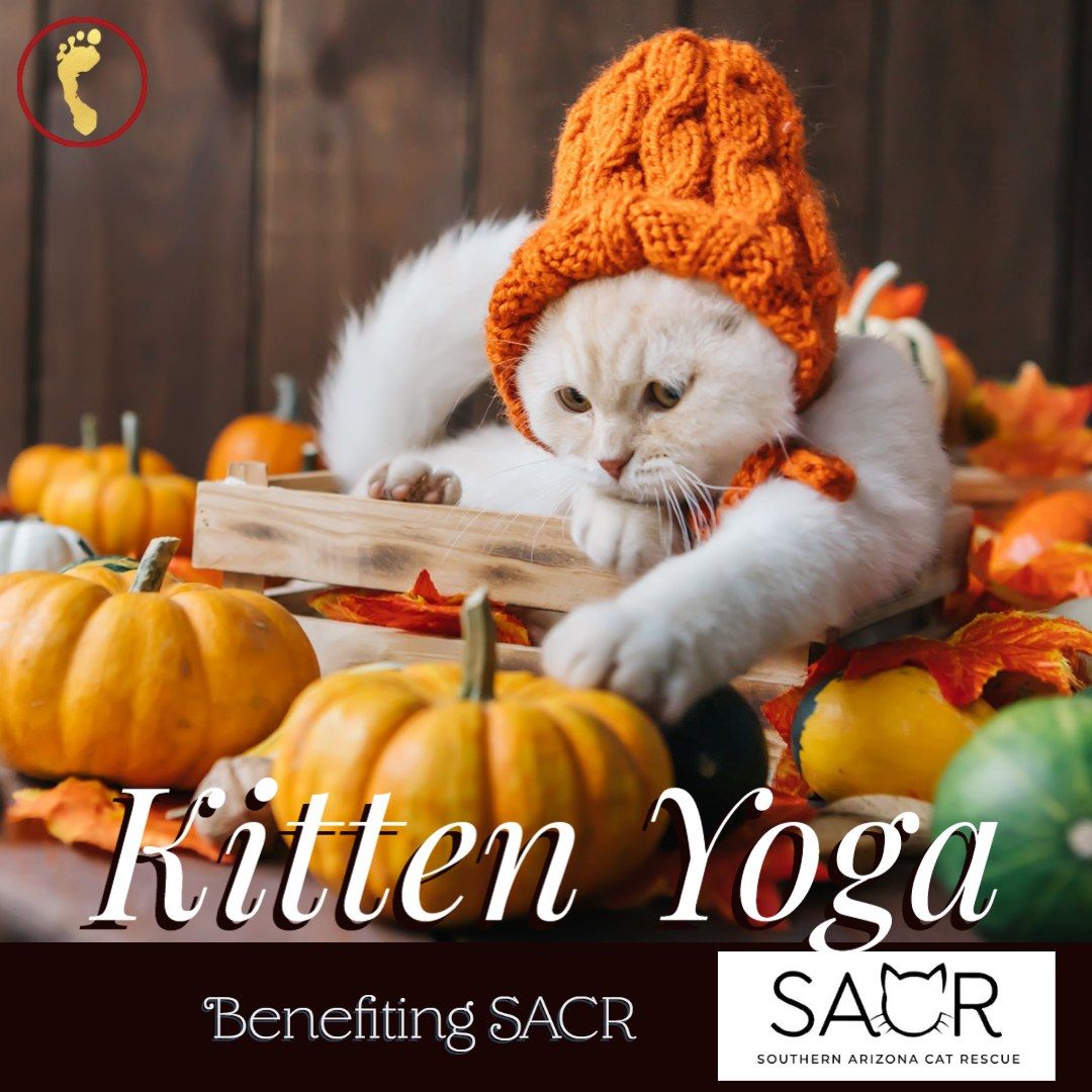 Kitten Yoga for SACR