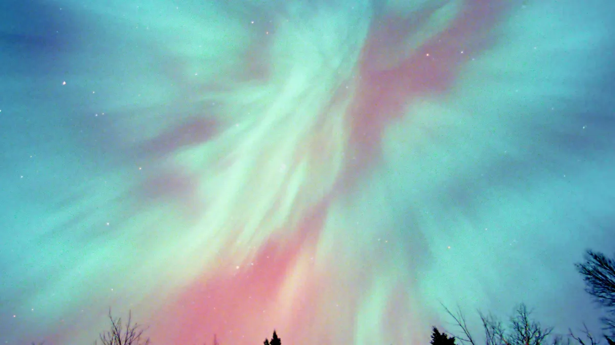 The Accidentals in Columbus