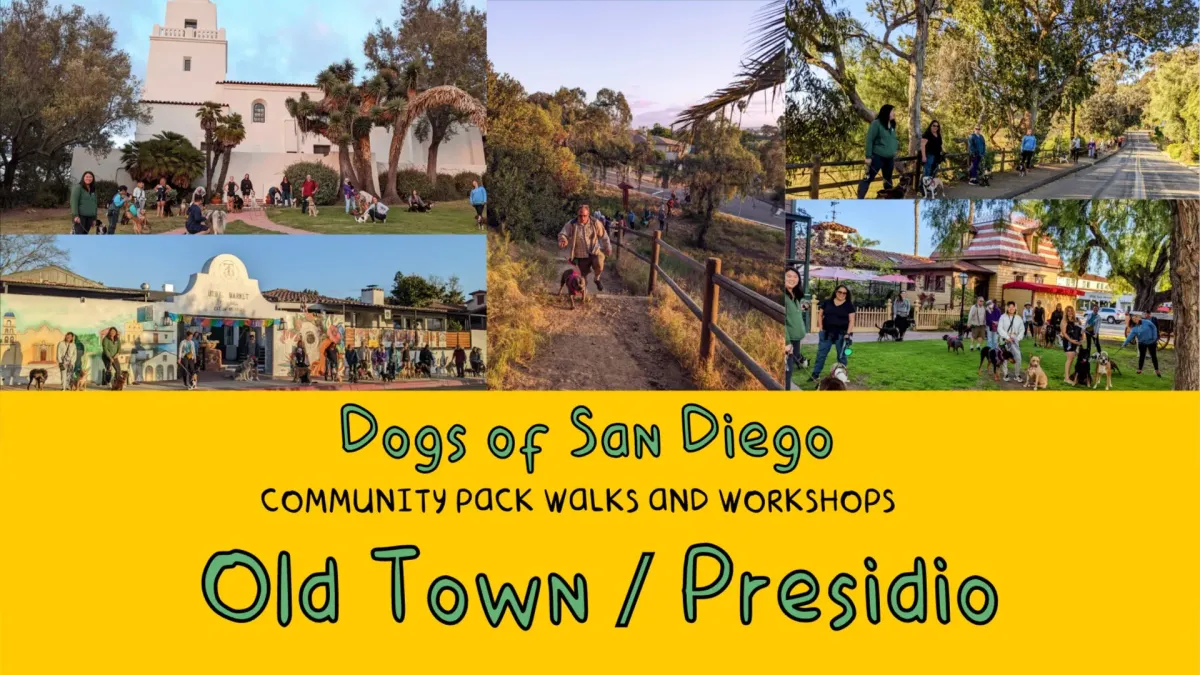 Old Town\/Presidio Park Pack Walk (Level: Easy to Moderate)