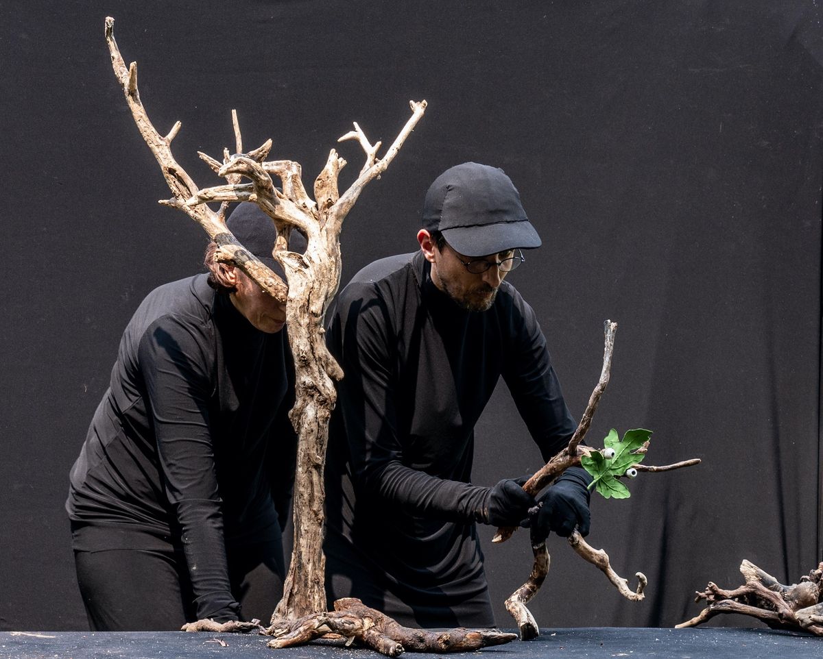 Bois by Puzzle Th\u00e9\u00e2tre at the Children's Museum & Theatre of Maine (Puppets In Portland Event)