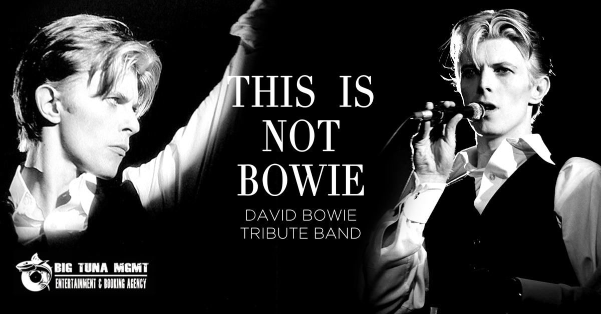 THIS IS NOT BOWIE - DAVID BOWIE TRIBUTE BAND live@BRASSERIE HOUBLON, Stra (VE)