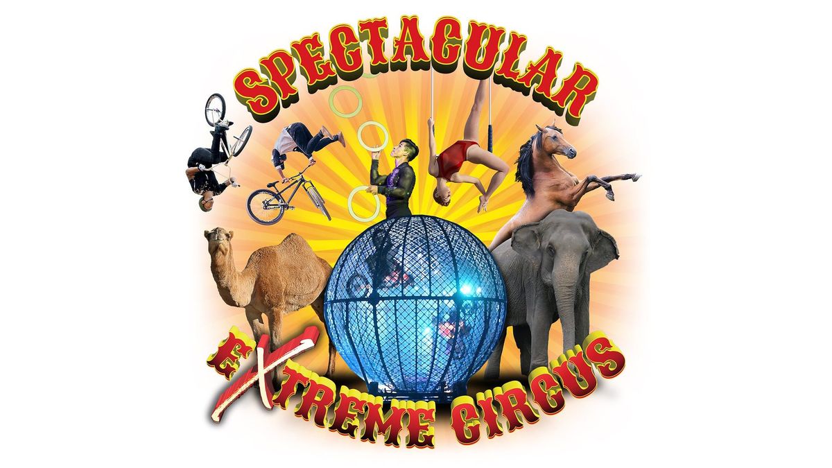 Carden International Circus Spectacular