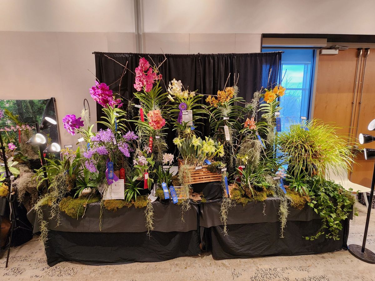 Springfield Orchid Society Orchid Show: A Galaxy of Orchid