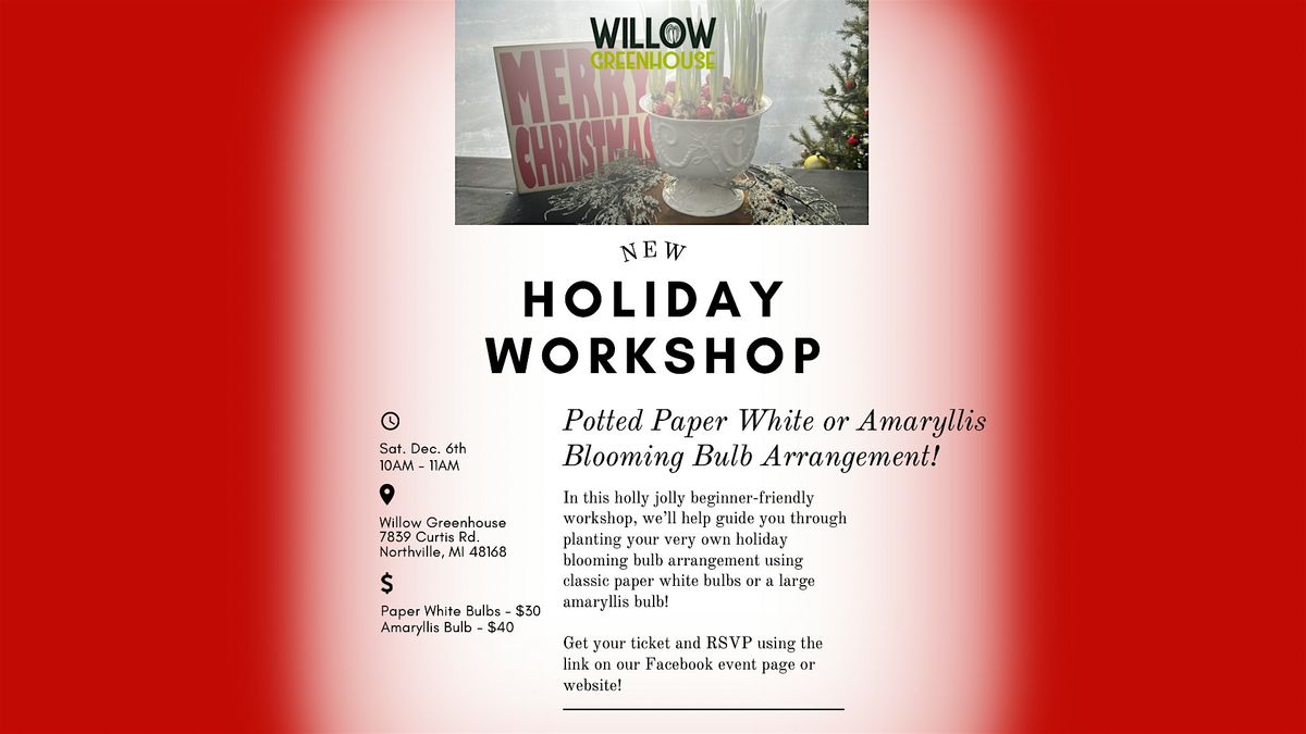 Holiday Blooming Bulb Arrangement!