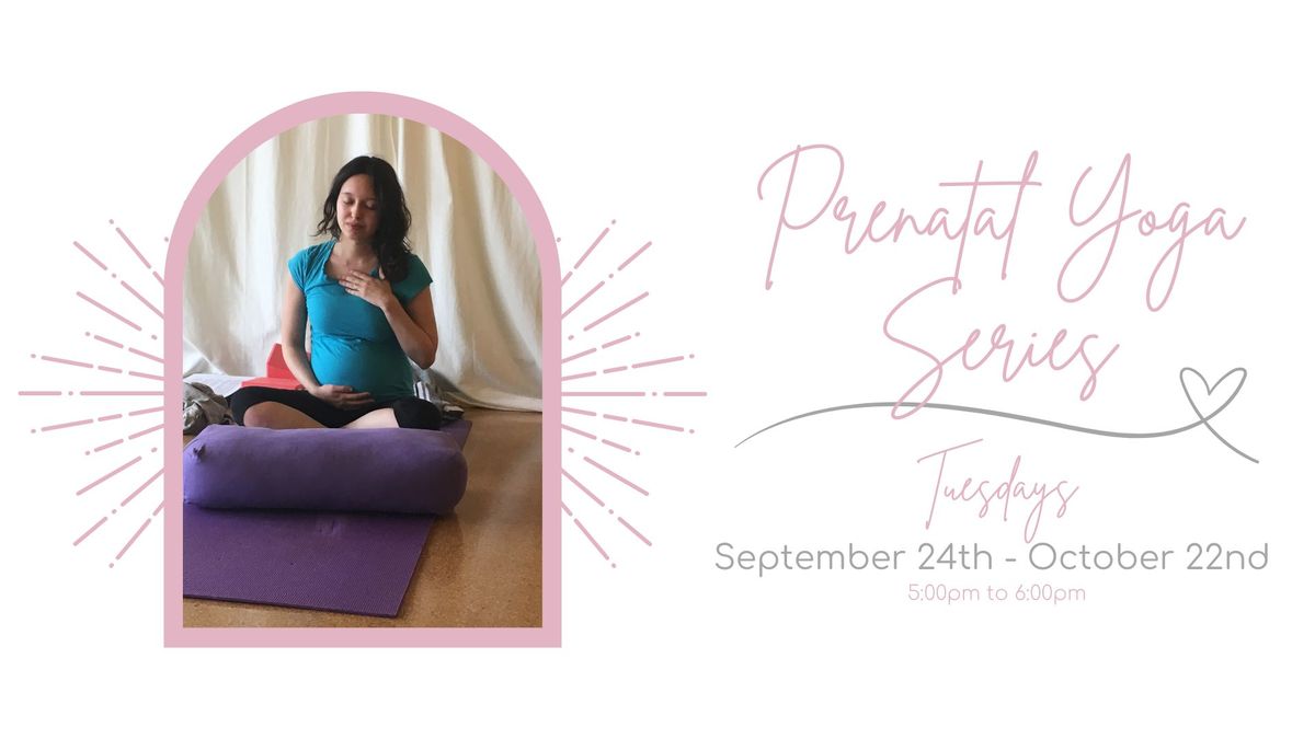 Prenatal Yoga Series