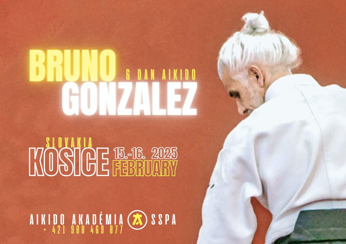 Aikido seminar with Bruno GONZALEZ ( 6. dan Aikikai, FRA )