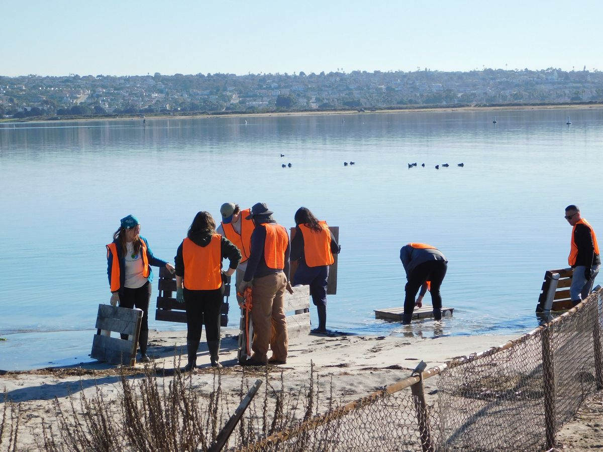 Wander the Wetlands: Work Party