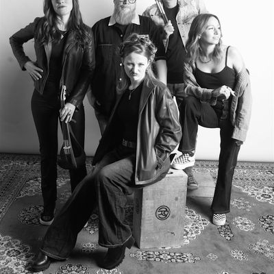 Dan Collins Entertainment