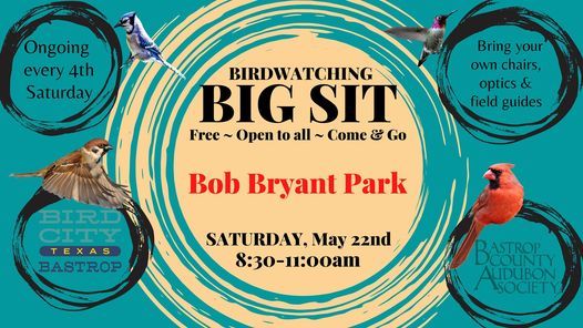 Bird City Bastrop's BIG SIT