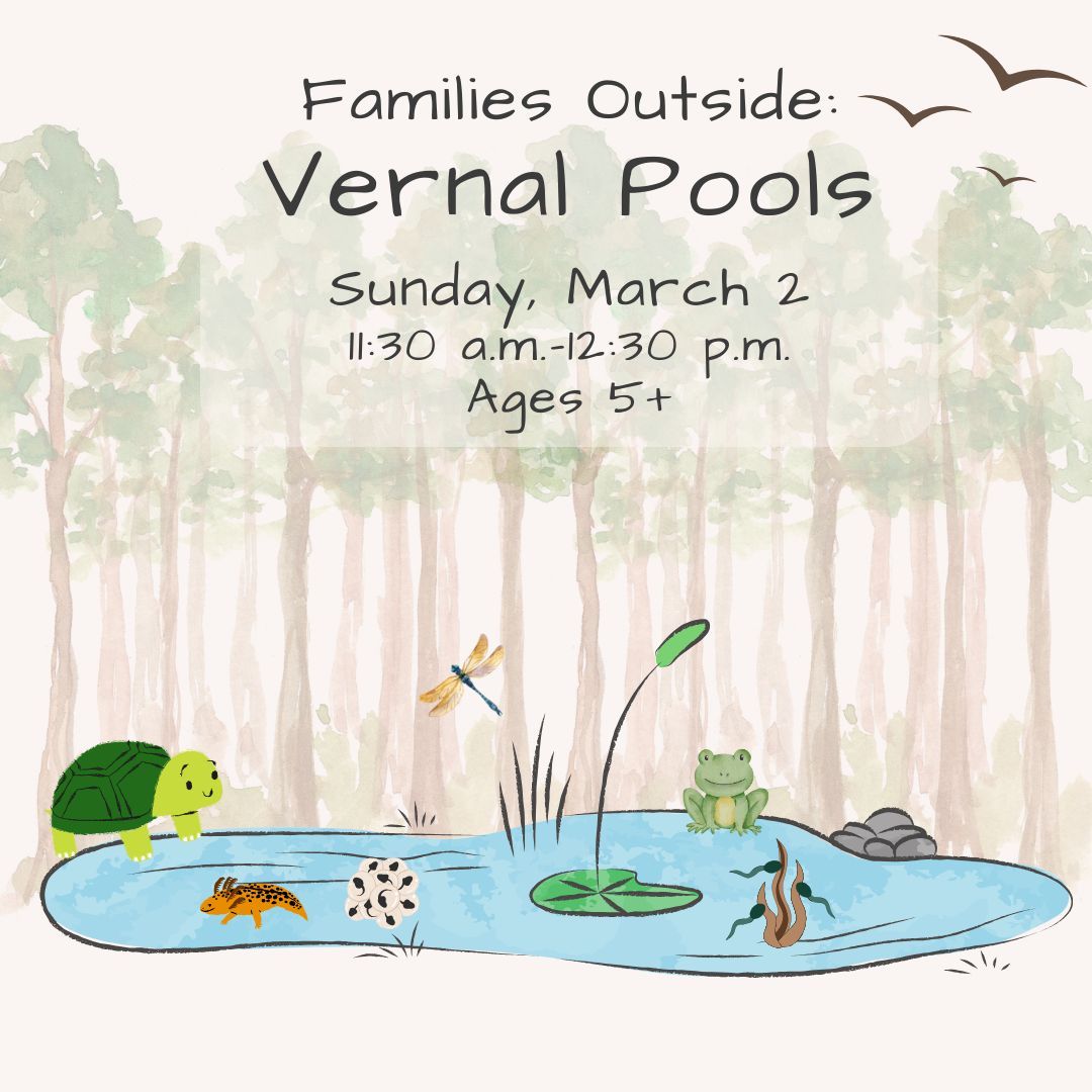 Families Outside: Vernal Pools