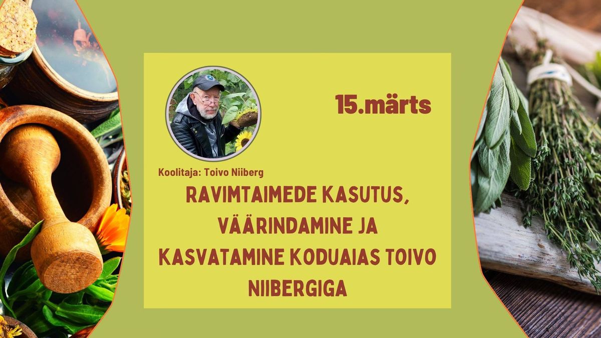  Ravimtaimede kasutus, v\u00e4\u00e4rindamine ja kasvatamine koduaias Toivo Niibergiga