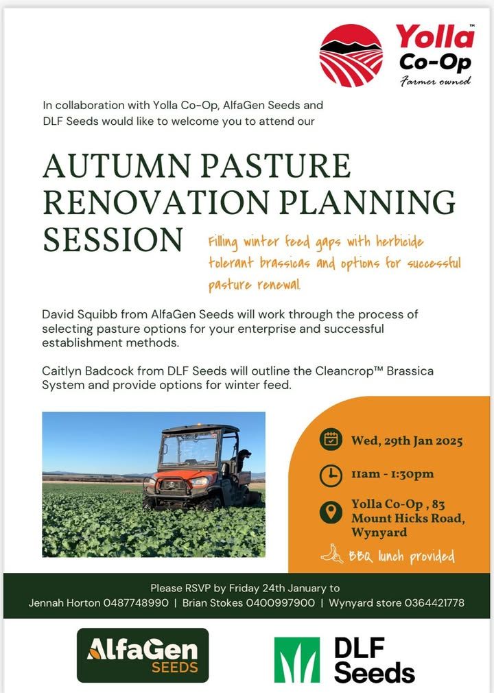 Autumn Pasture Session 