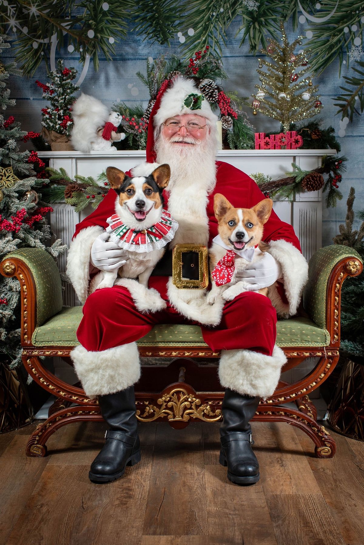 Santa Pics at The Doggie Bag