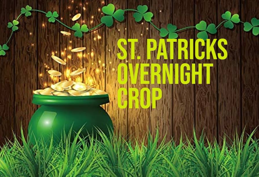 St. Patrick's Overnight Crop