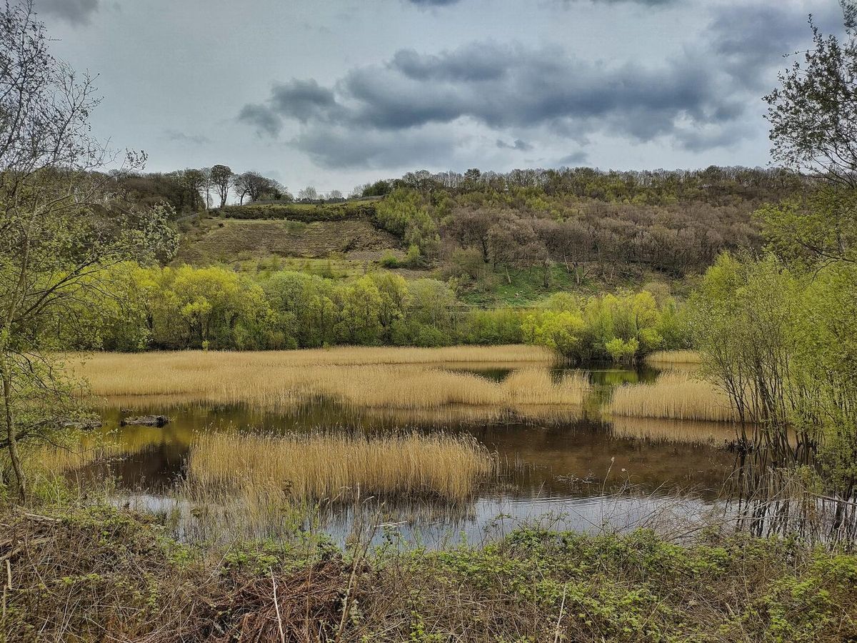 Cromwell Bottom Local Nature Reserve Guided Walk