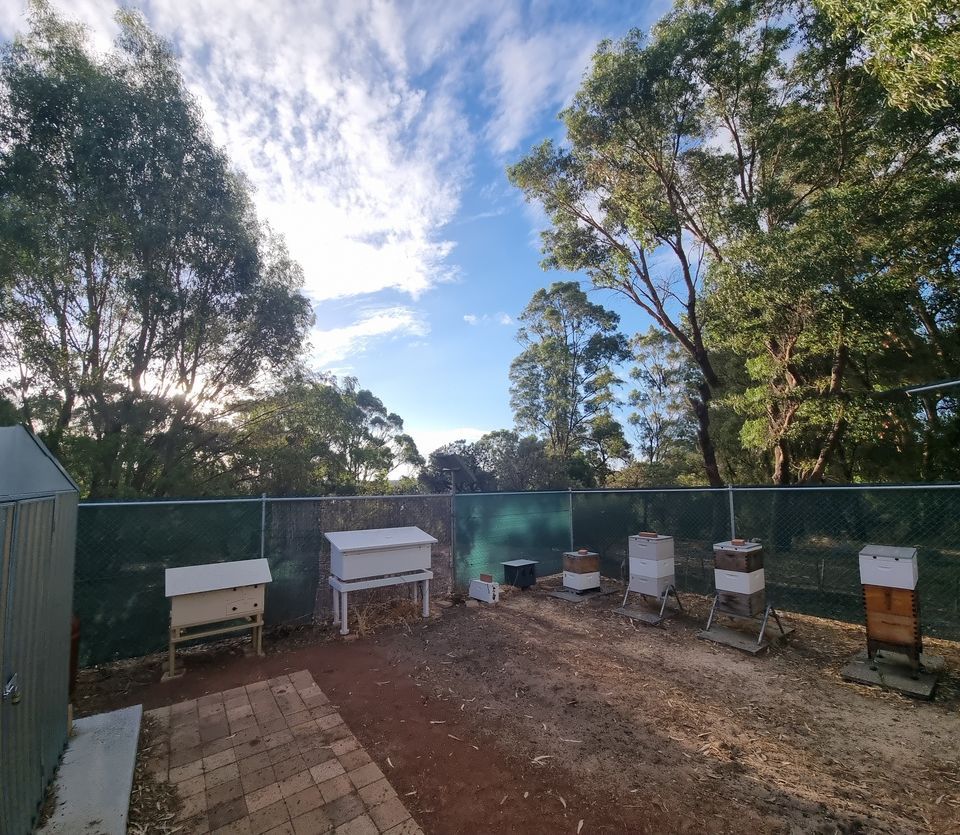 apiary-inspection-ecu-south-west-edith-cowan-university-bunbury