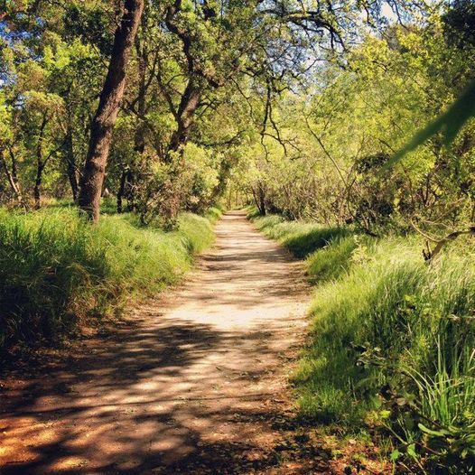 Lodi Lake Nature Trail Walk