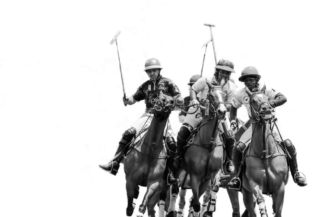 Sunday Polo: Patron Appreciation 