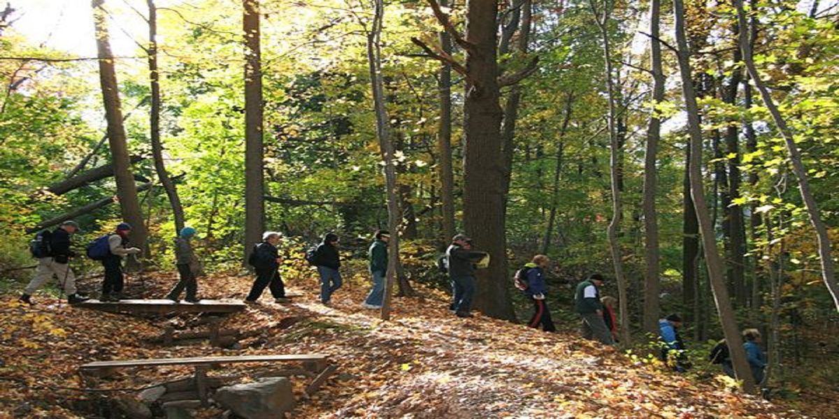 Hiking Trails In Staten Island Trail Of The Month | High Rock Park: Green Trail/Moses Mtn., High Rock  Park: Nevada Ave Parking Lot, Staten Island, 24 October 2021