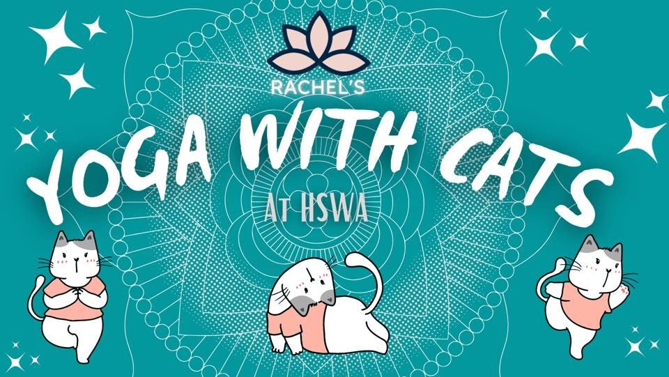 Yoga With Cats