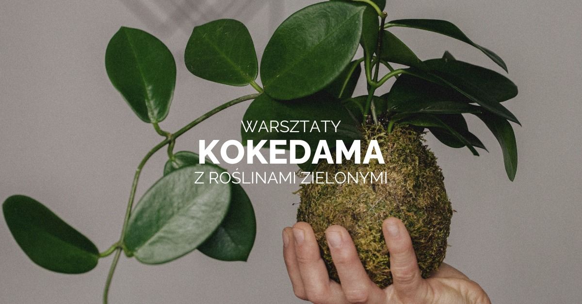 Warsztaty "Kokedama z Ro\u015blinami Zielonymi" \u2013 O\u017cyw Swoj\u0105 Przestrze\u0144 w JK Studio \ud83c\udf3f