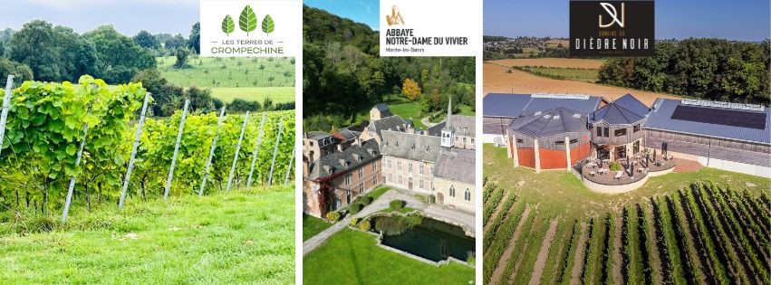 Marche gourmande des producteurs - Savourer le terroir \u00e0 Marche-les-Dames