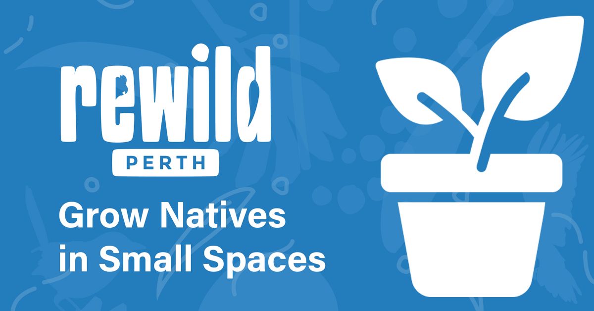 Grow Natives in Small Spaces (Fremantle)