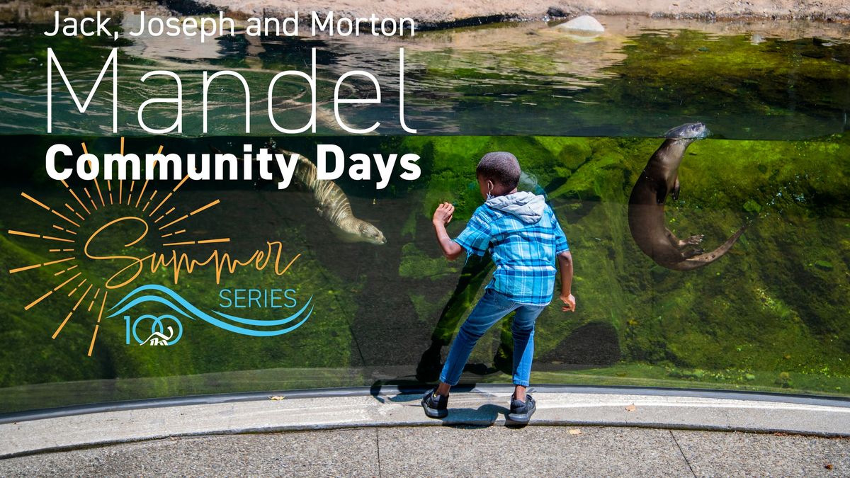 Mandel Summer Series: Back to School Community Day