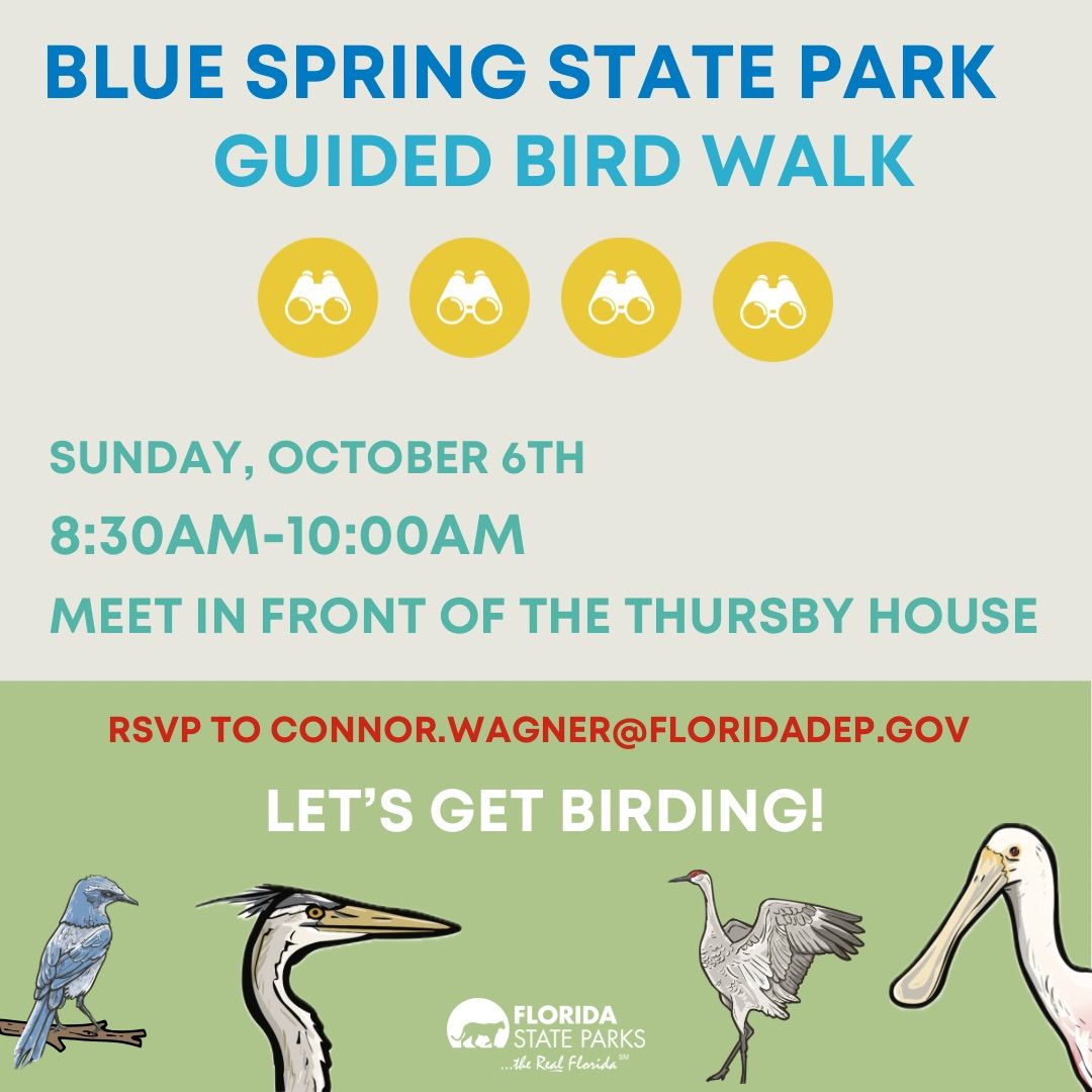 Guided Bird Hike 