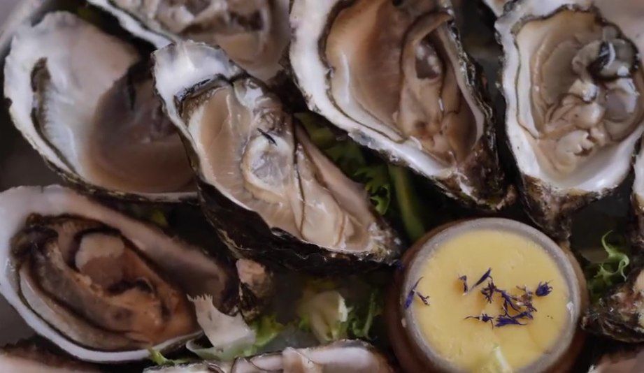 Palermo: Oysters tasting experience