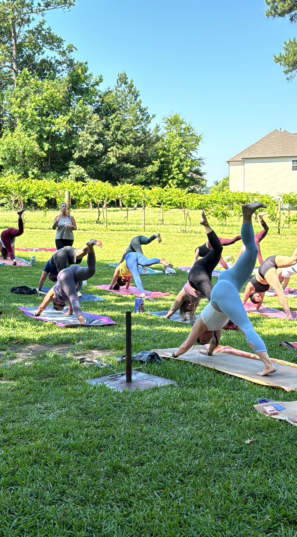 Yoga, Charcuterie, and Wine Vineyard Retreat