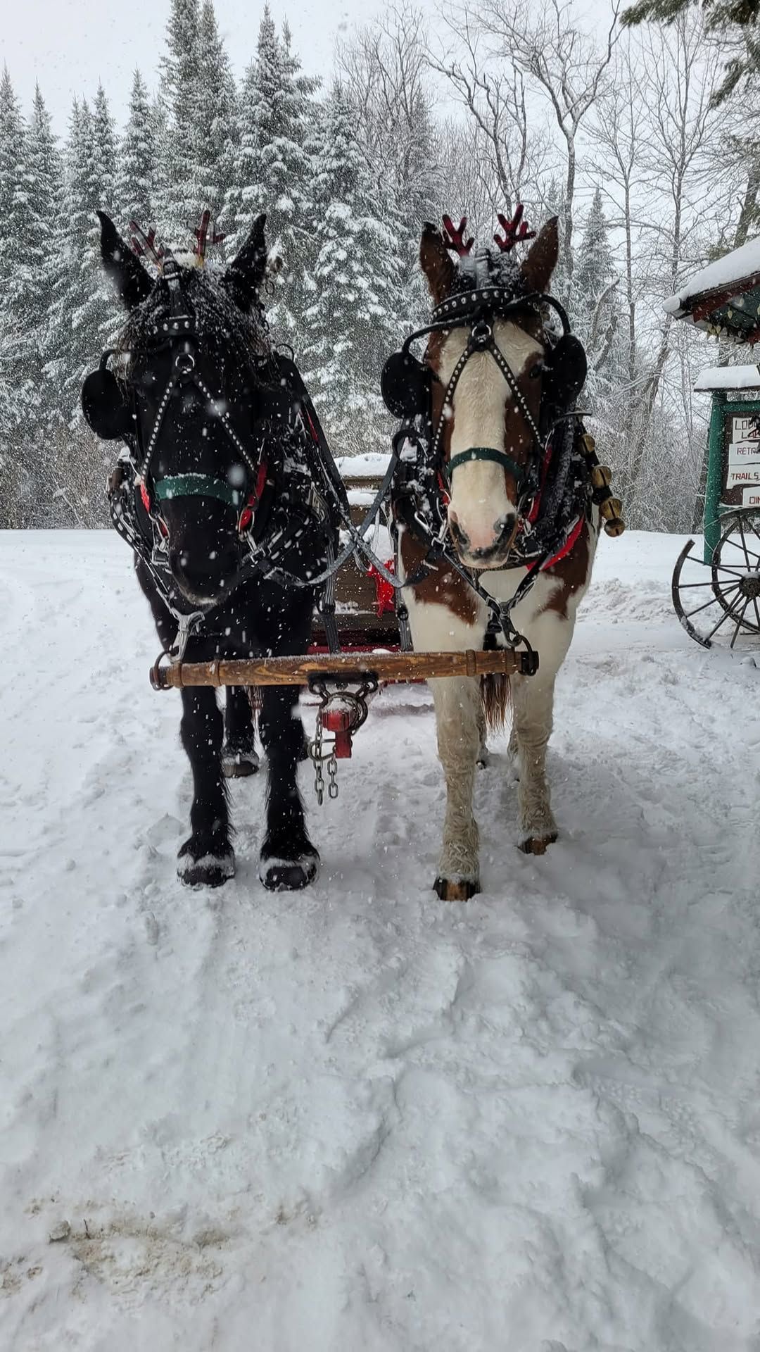 Lantern Lit Sleigh Rides