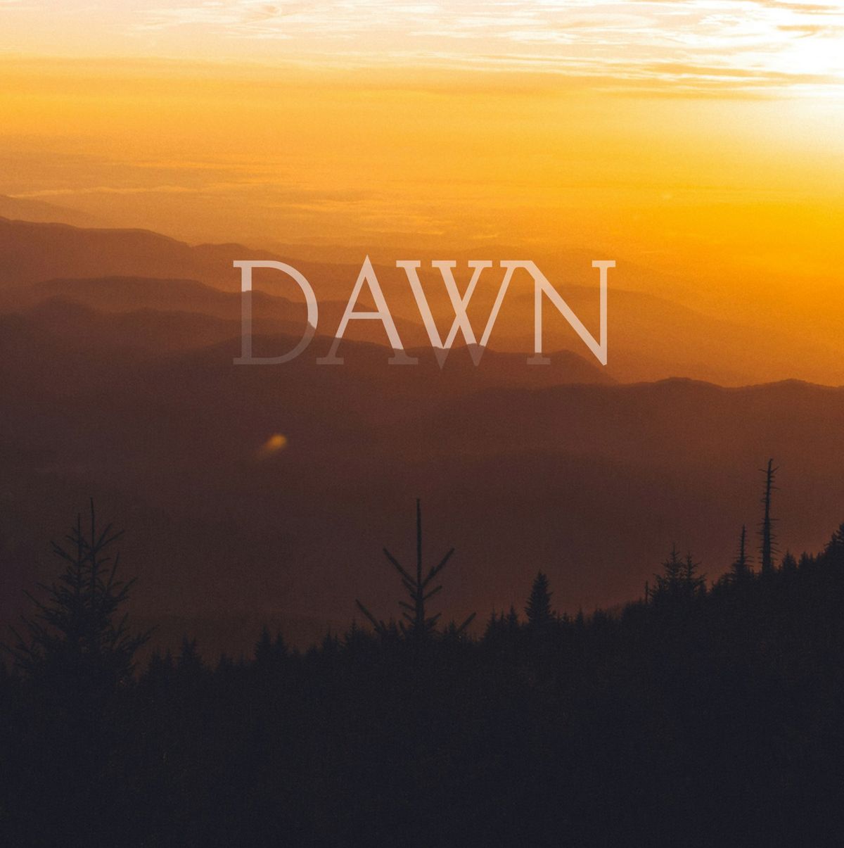 Transept: "Dawn"