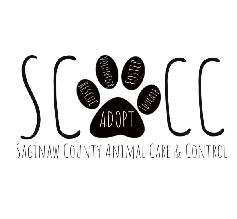 SCACC Adoption Event-6