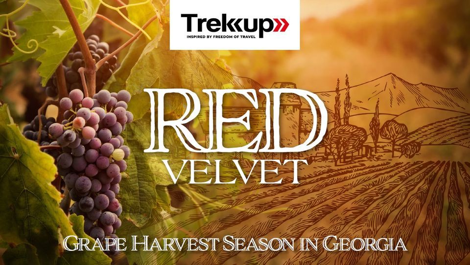 Red Velvet | Grape Harvest Season in Georgia