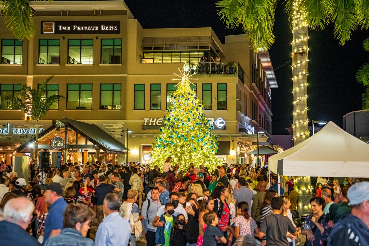 Christmas Tree Lighting & Cirque Experience