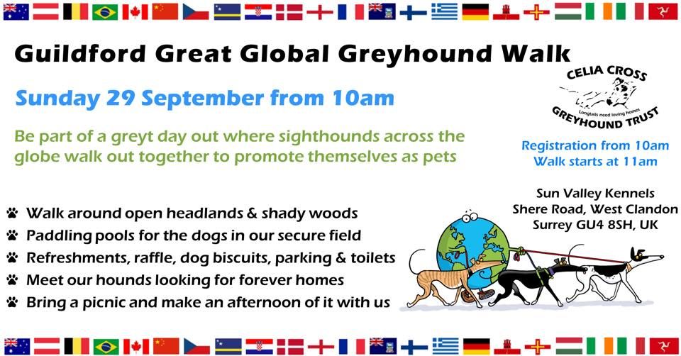 Guildford Great Global Greyhound Walk