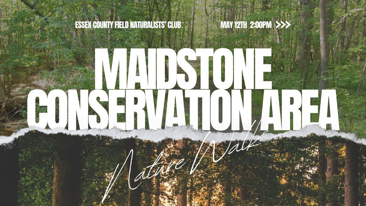 Maidstone Conservation Area Nature Walk