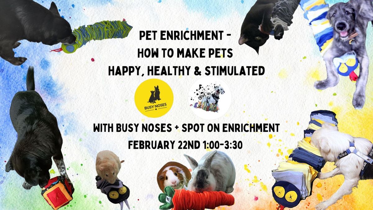 Pet Enrichment-How to Make Pets Happy, Healthy & Stimulated