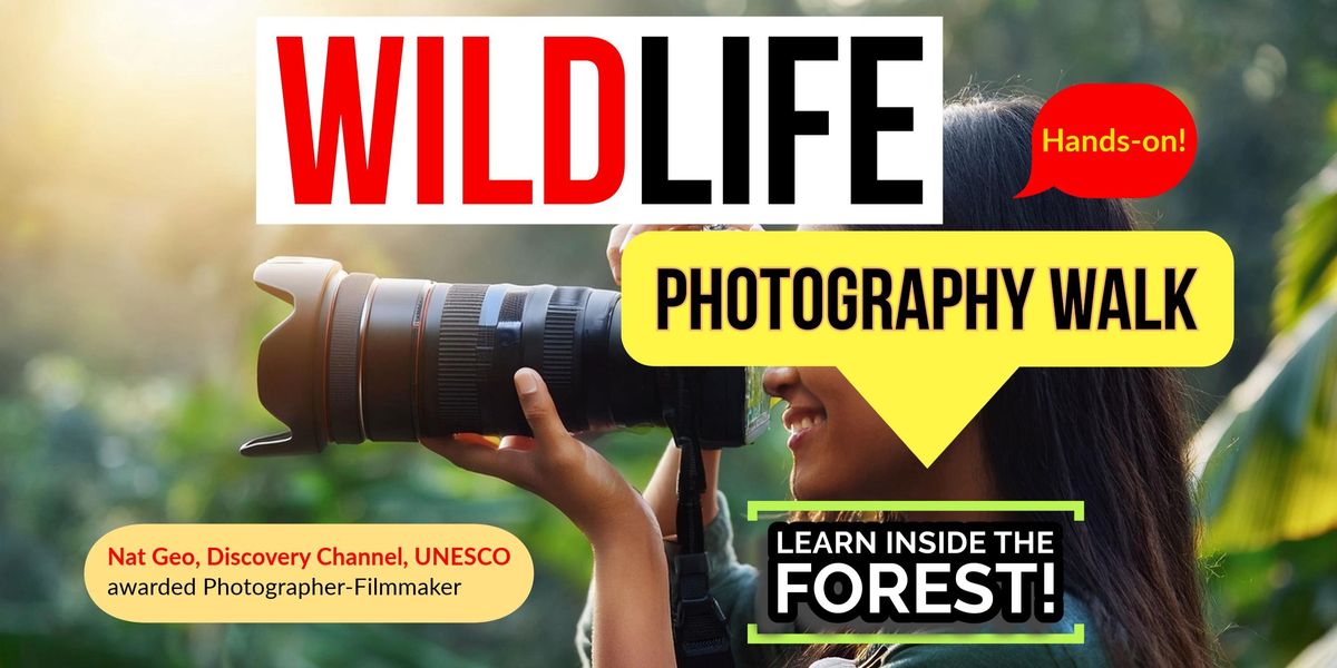 Wildlife Photography in Jhalana Leopard Reserve