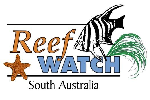 28 March - Intertidal Monitoring & Training