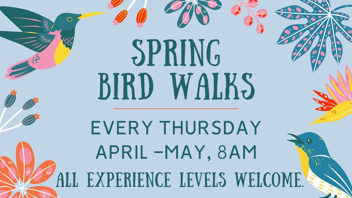 Spring Bird Walks