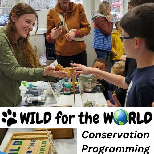 WILD for the WORLD Presents Critter Conservation Chat for YMCA Summer Campers (Fort Worth, TX)