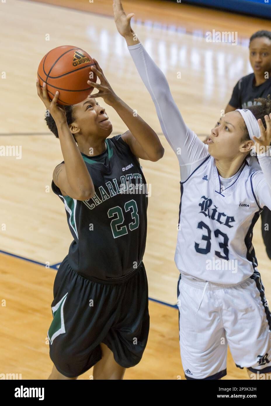 Rice Owls at Charlotte 49ers Womens Basketball