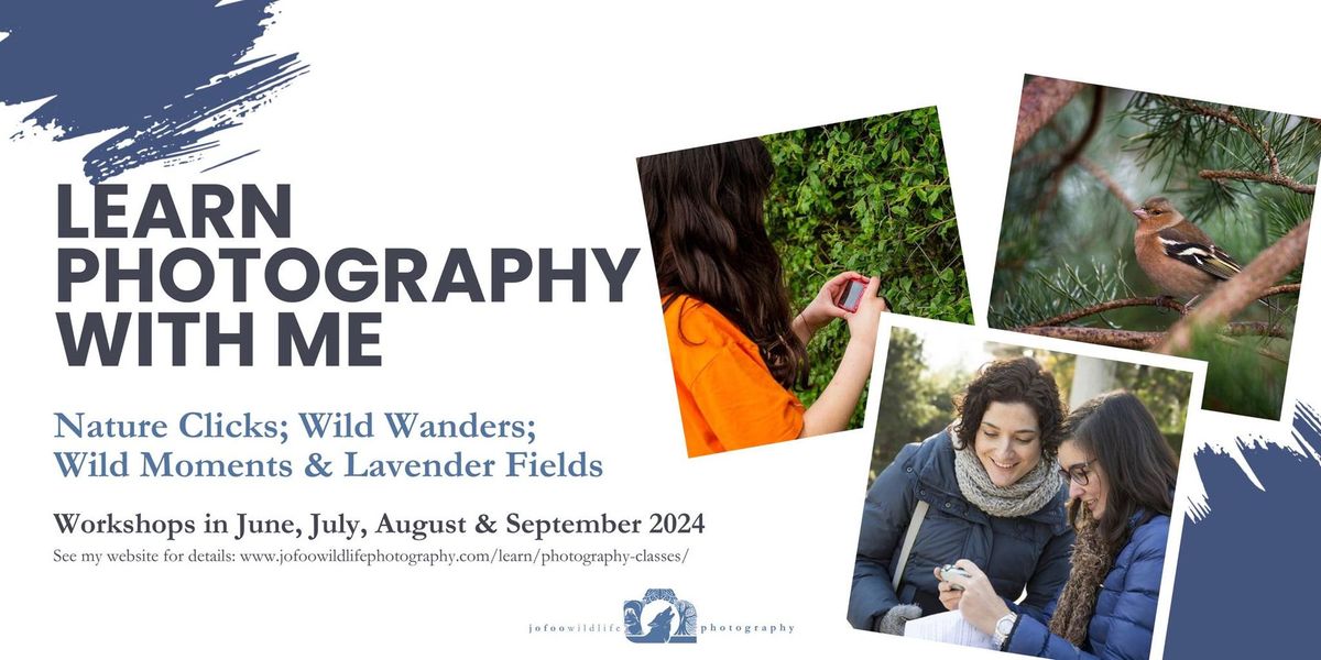 Wild Wanders - Wellbeing Photography Walk