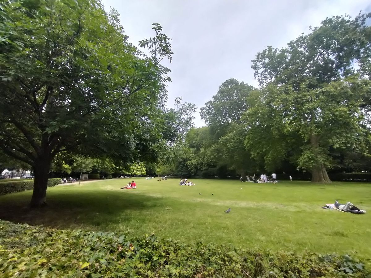 Nature Writing Workshop: Join Reenchantment in Lincoln's Inn Fields