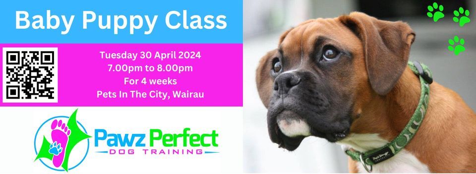 Baby Puppy class