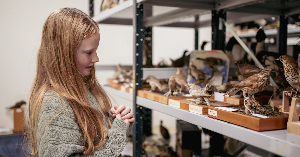 Museum Explorers