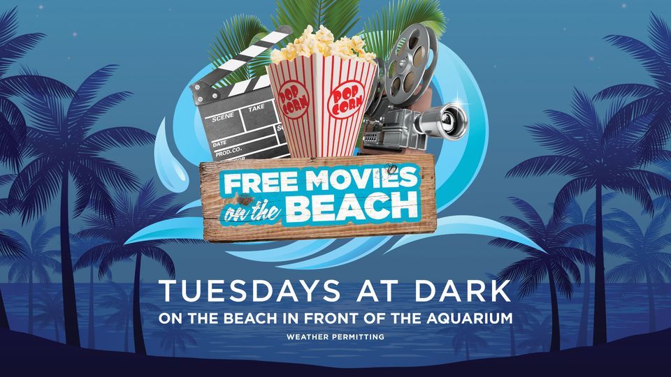 Movies on the Beach, Jenkinson's Boardwalk, Point Pleasant Beach, 12